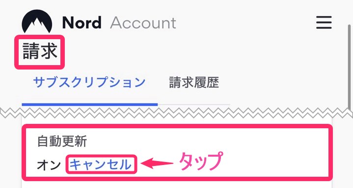 NordVPN 自動更新停止(iphone)