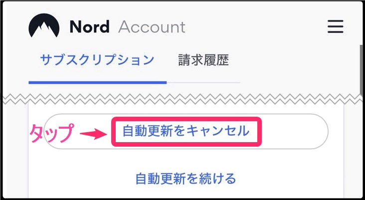 NordVPN 自動更新停止(iphone)