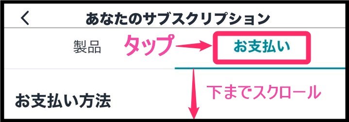 Surfshark支払い履歴確認 (iphone)