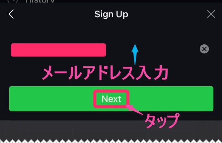 「iQIYI」会員登録。メールアドレス入力