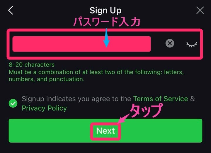 「iQIYI」会員登録。パスワード入力