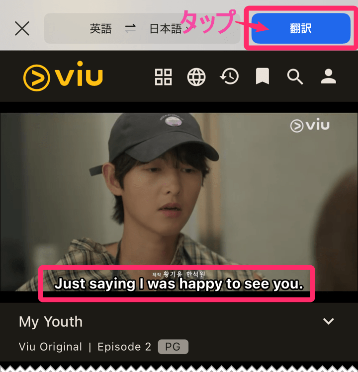 ViU「Edgeブラウザ」日本語翻訳。「翻訳」タップ