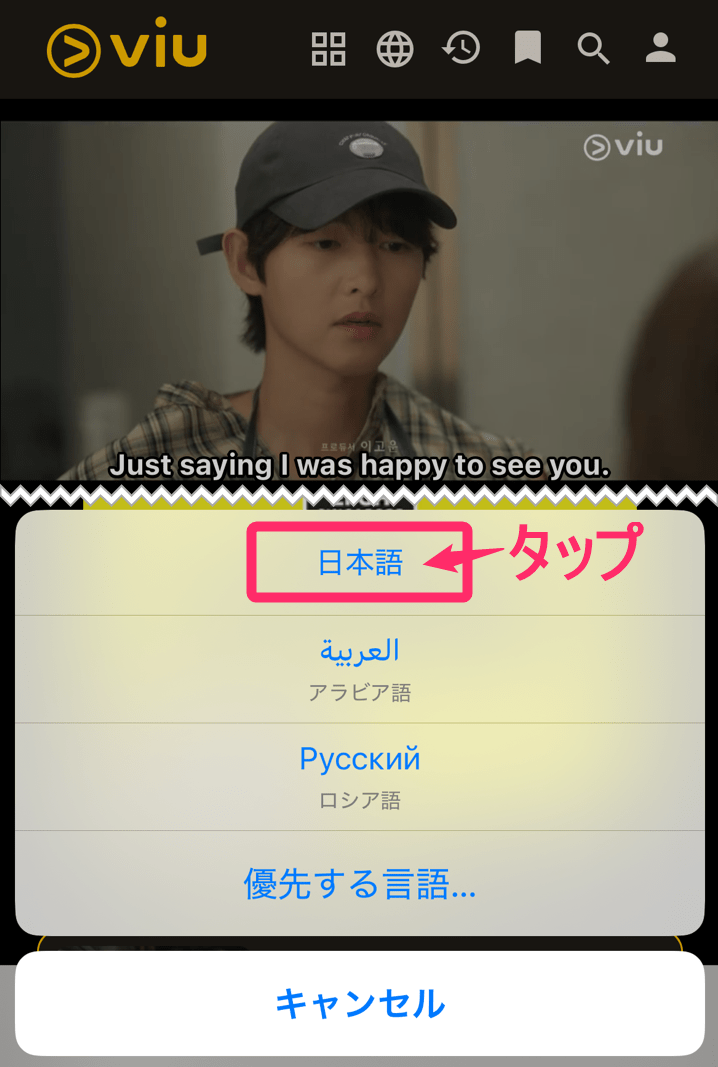 ViU「Safariブラウザ」日本語翻訳。「日本語」タップ